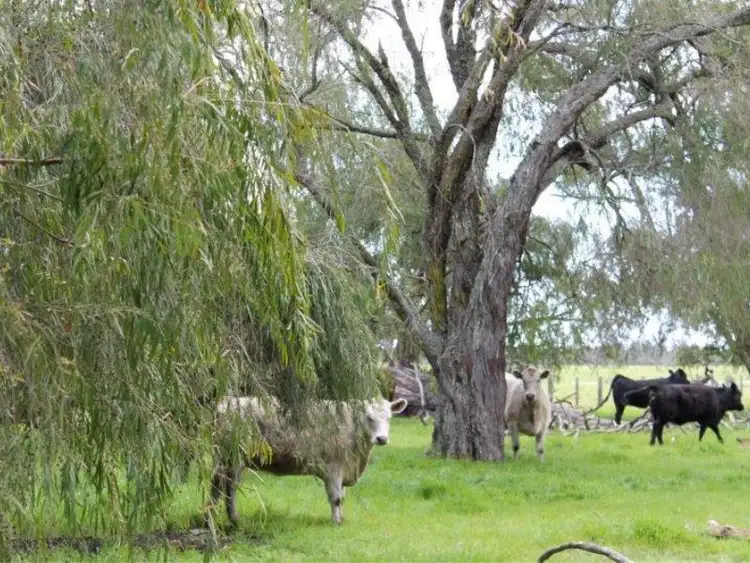 Third view of Homely rural property listing, Address available on request