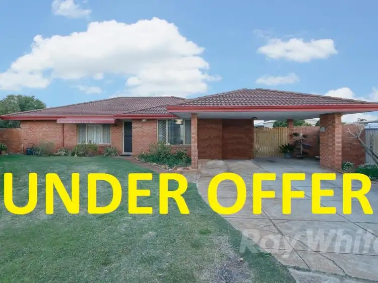 Main view of Homely house listing, 16 Gannet Trail, Ballajura WA 6066