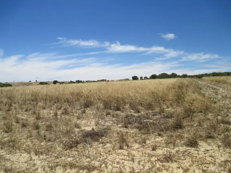 Main view of Homely rural property listing, Lot 247, Casuarina Drive, Nilgen WA 6044