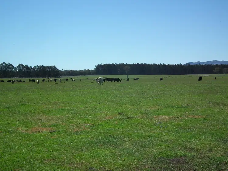 Main view of Homely rural property listing, 385 Elliott Road, Narrikup WA 6326