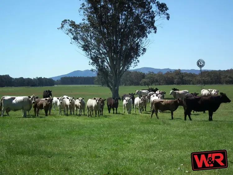 386 Settlement Road East, Narrikup WA 6326