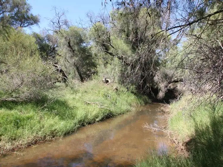 Sixth view of Homely rural property listing, Lot 2, 2 Snake Spring Road, Wannamal WA 6505