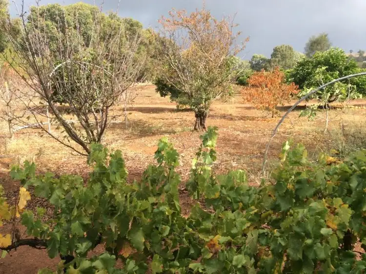 Fifth view of Homely house listing, 754 Wells Glover Rd, Bindoon WA 6502