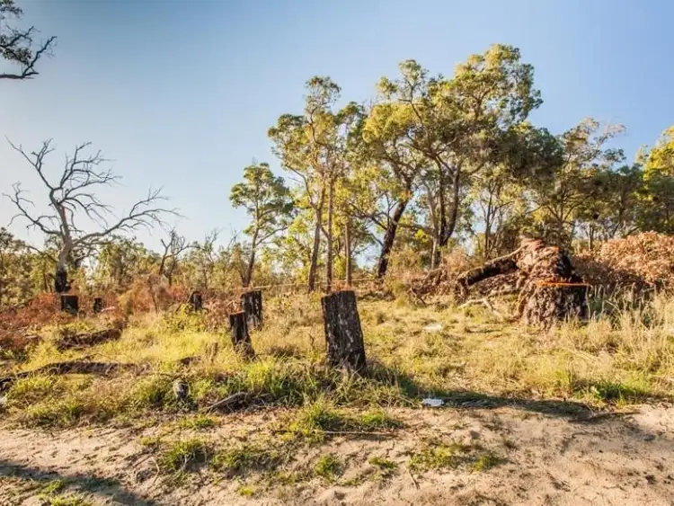 Main view of Homely land listing, 8 Kaber Court, Wellard WA 6170