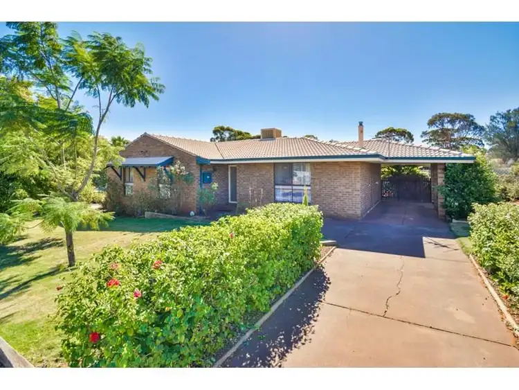 17 Flanagan Parade, Hannans WA 6430