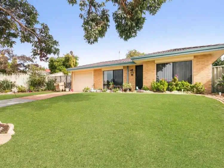 Main view of Homely house listing, 3 Ranunculus Court, Beeliar WA 6164