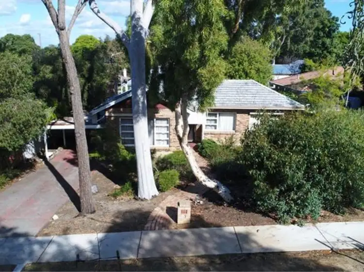 37 Morgan Street, Shenton Park WA 6008