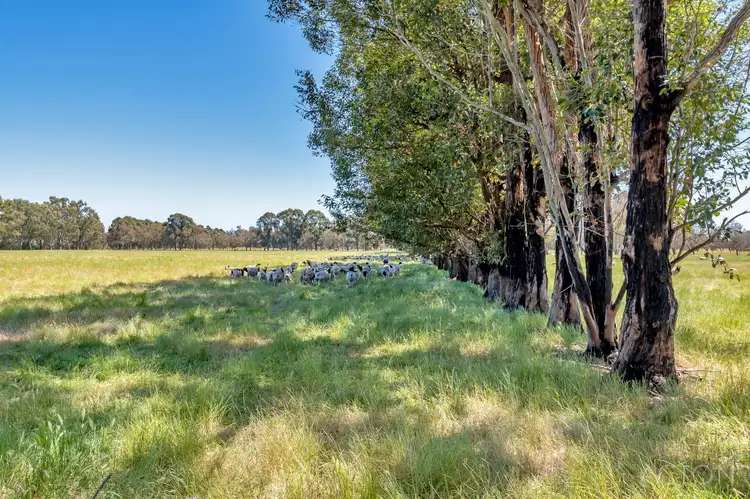 Sixth view of Homely land listing, 98 Rowe Road, Serpentine WA 6125