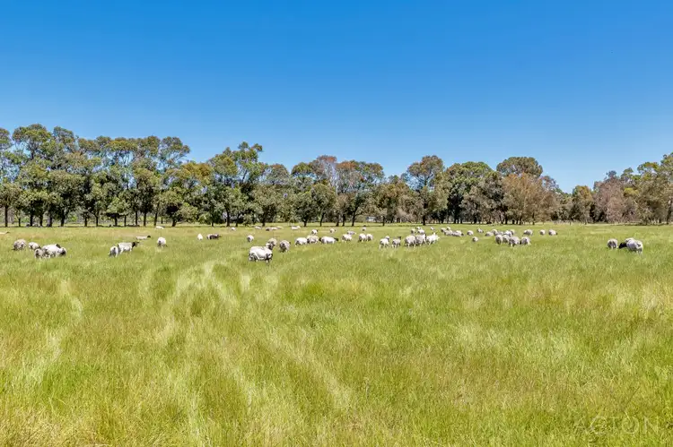 Seventh view of Homely land listing, 98 Rowe Road, Serpentine WA 6125