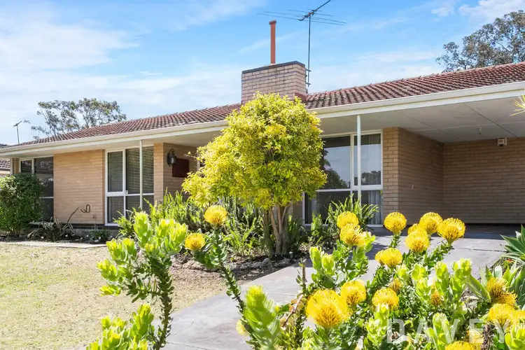 53 Campsbourne Street, Balcatta WA 6021