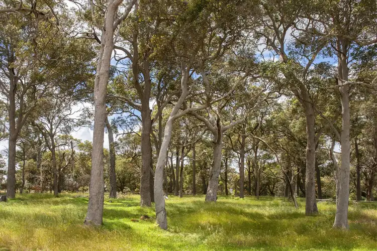 Second view of Homely land listing, 17 Copse Way, Cowaramup WA 6284