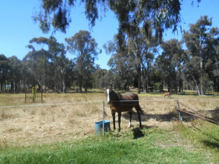 Fifth view of Homely rural property listing, 22 Bacon Street, Collie Burn WA 6225