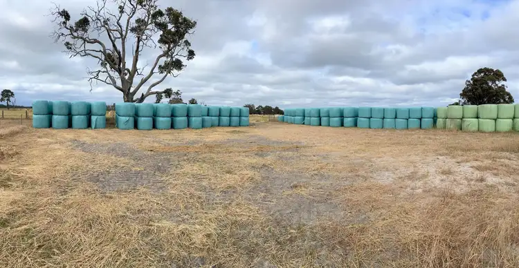 Seventh view of Homely rural property listing, 300 Goodwood Road, Capel WA 6271