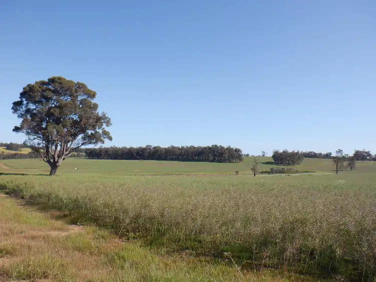 Main view of Homely rural property listing, 561 Mokerdillup Road, Bridgetown WA 6255