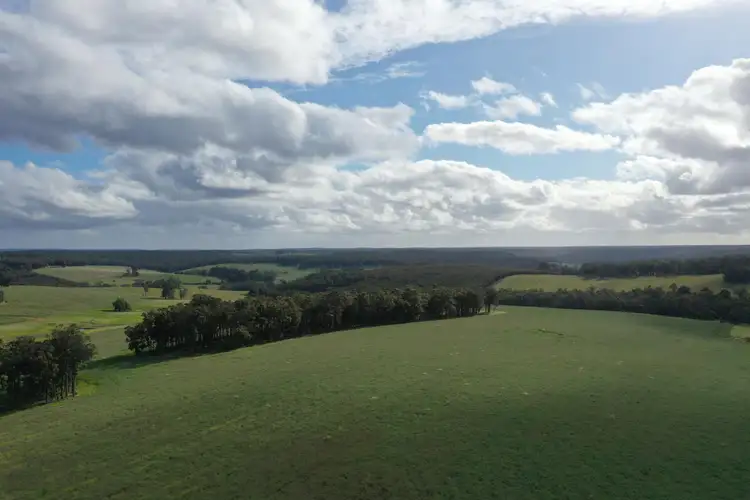 Third view of Homely rural property listing, 561 Mokerdillup Road, Bridgetown WA 6255