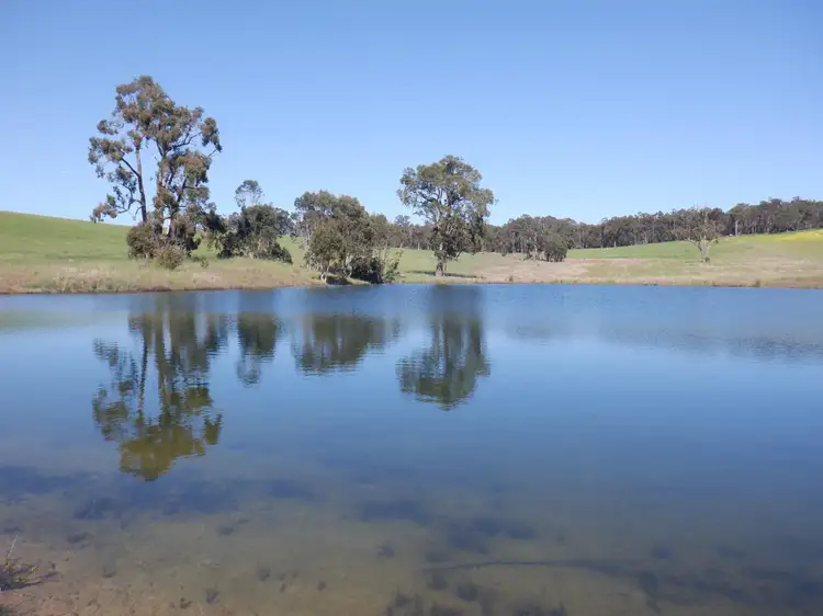 Fourth view of Homely rural property listing, 561 Mokerdillup Road, Bridgetown WA 6255