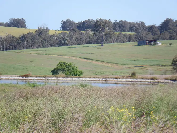 Sixth view of Homely rural property listing, 561 Mokerdillup Road, Bridgetown WA 6255