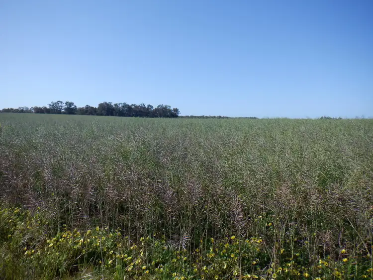 Seventh view of Homely rural property listing, 561 Mokerdillup Road, Bridgetown WA 6255