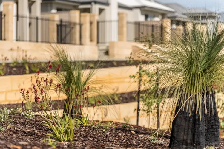 Fifth view of Homely land listing, 446/11 Lisianthus Terrace, Beeliar WA 6164