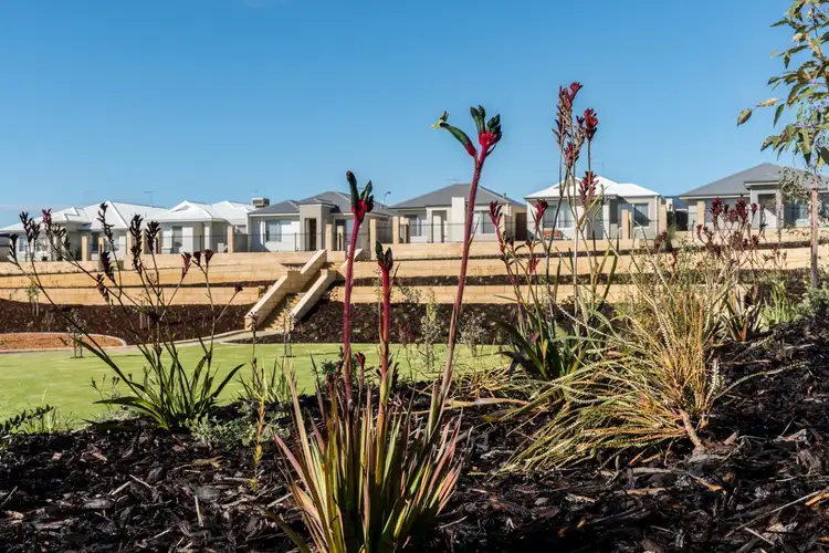 Third view of Homely land listing, 444/7 Lisianthus Terrace, Beeliar WA 6164