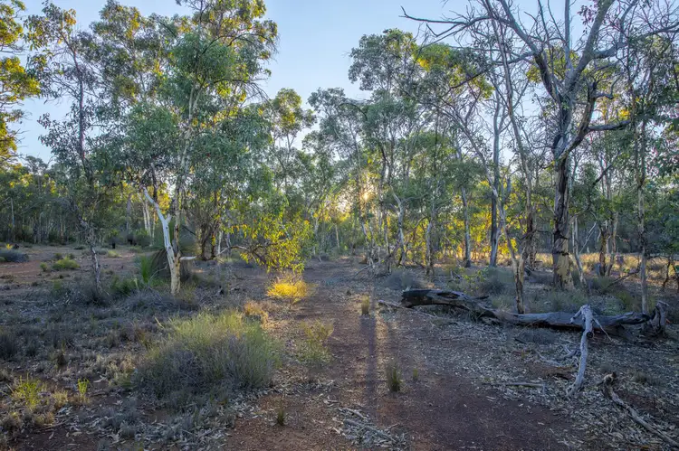 3591 Toodyay Road, Gidgegannup WA 6083