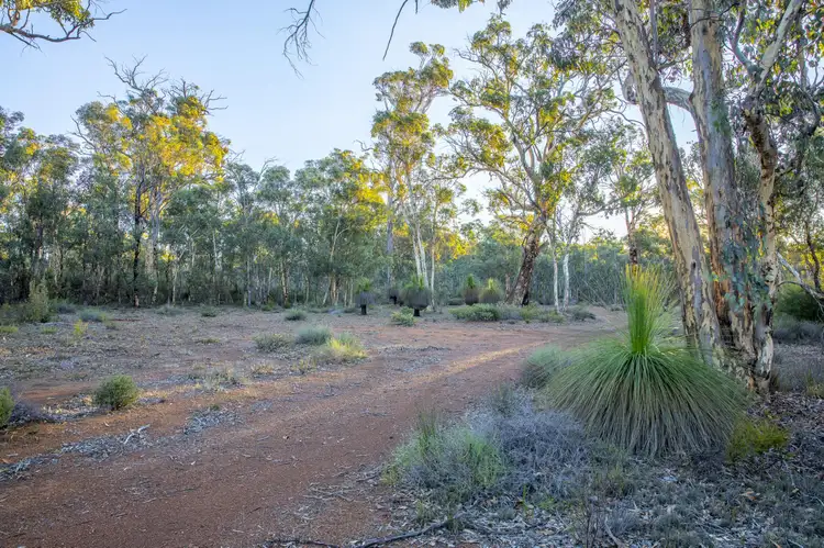 Fourth view of Homely land listing, 3591 Toodyay Road, Gidgegannup WA 6083