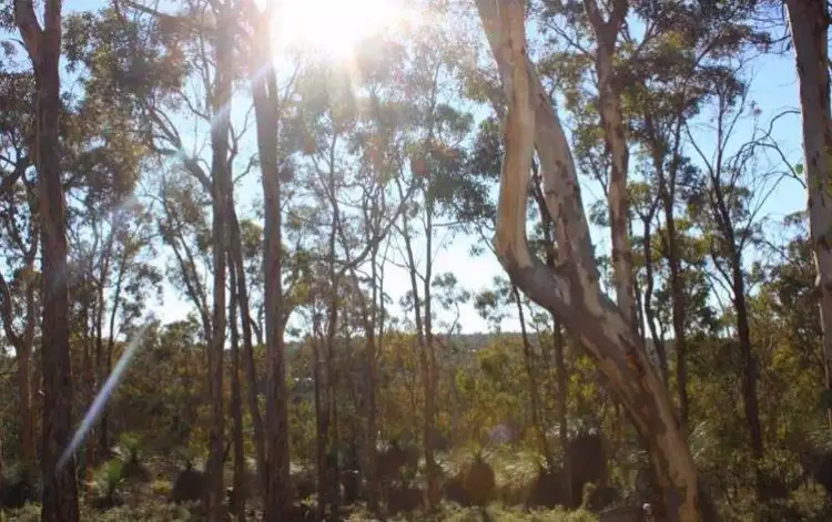 Fifth view of Homely land listing, 3591 Toodyay Road, Gidgegannup WA 6083