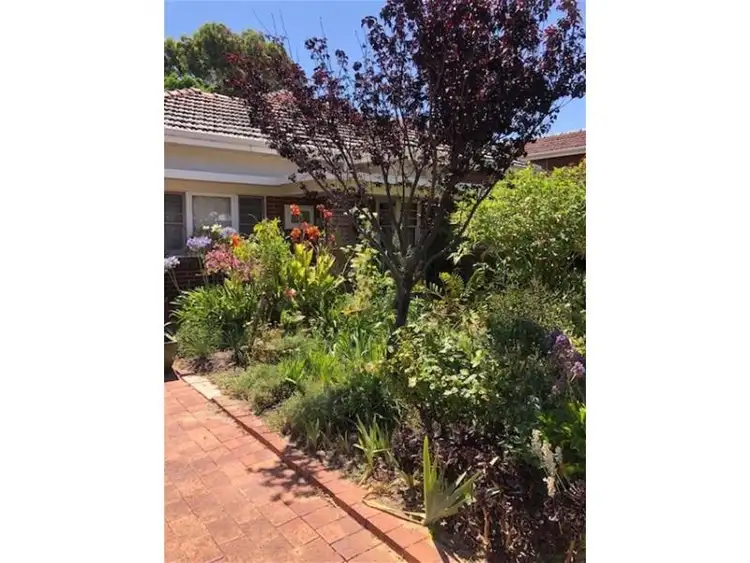 Fifth view of Homely house listing, 3 EVERTON STREET, Floreat WA 6014