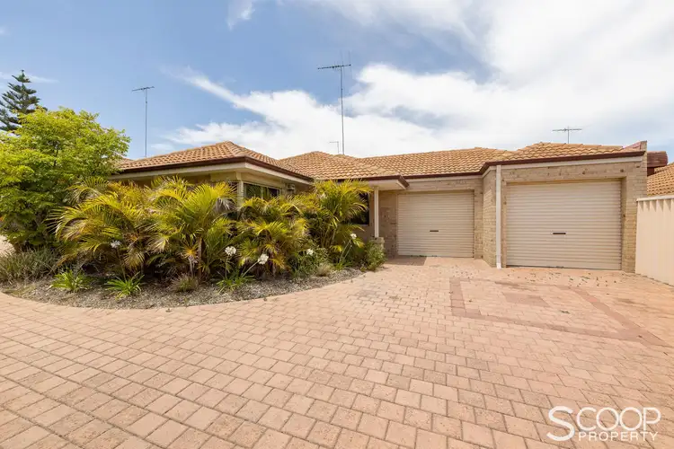 Main view of Homely house listing, 2/19 Orsulich Loop, Spearwood WA 6163