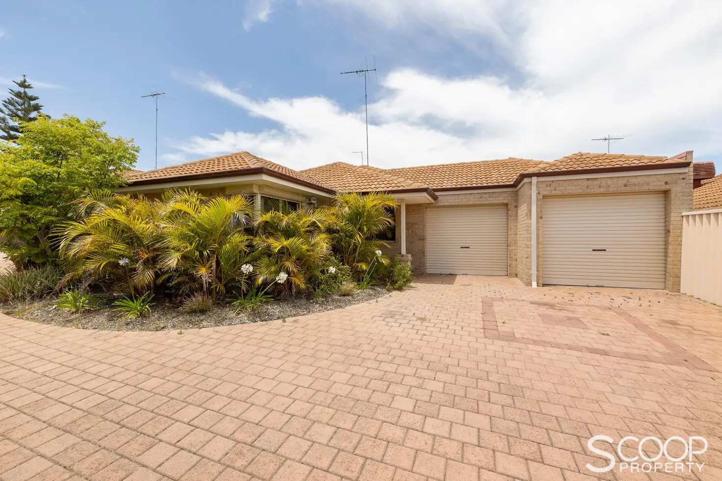 Main view of Homely house listing, 2/19 Orsulich Loop, Spearwood WA 6163