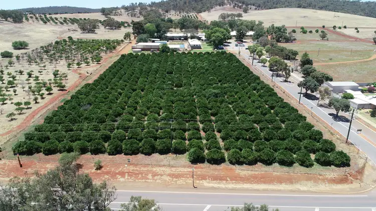 Main view of Homely land listing, Lot 2, Gt Northern Highway, Bindoon WA 6502