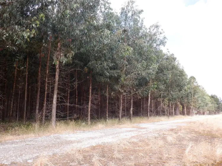 Second view of Homely rural property listing, Lot 9026 Holiwell Road, Northcliffe WA 6262