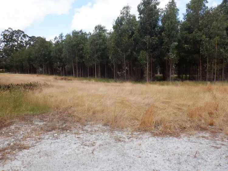 Seventh view of Homely rural property listing, Lot 9026 Holiwell Road, Northcliffe WA 6262