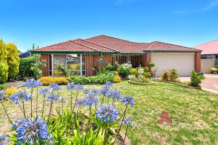 Main view of Homely house listing, 11 Burleigh Drive, Australind WA 6233