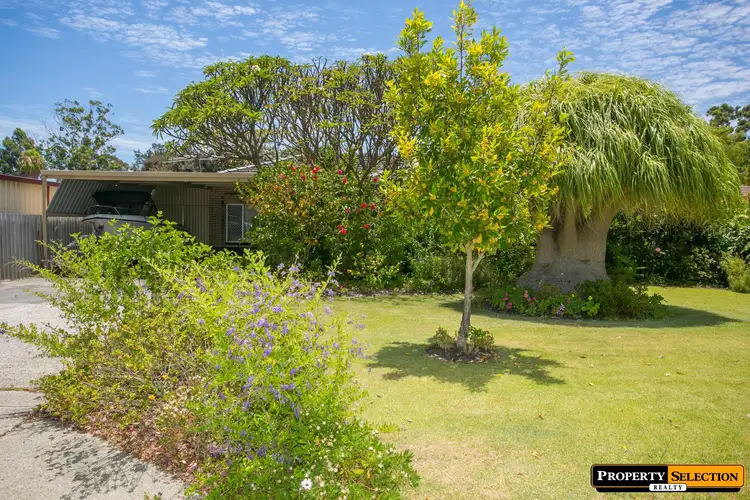 Main view of Homely house listing, 49 Collingwood Street, Dianella WA 6059