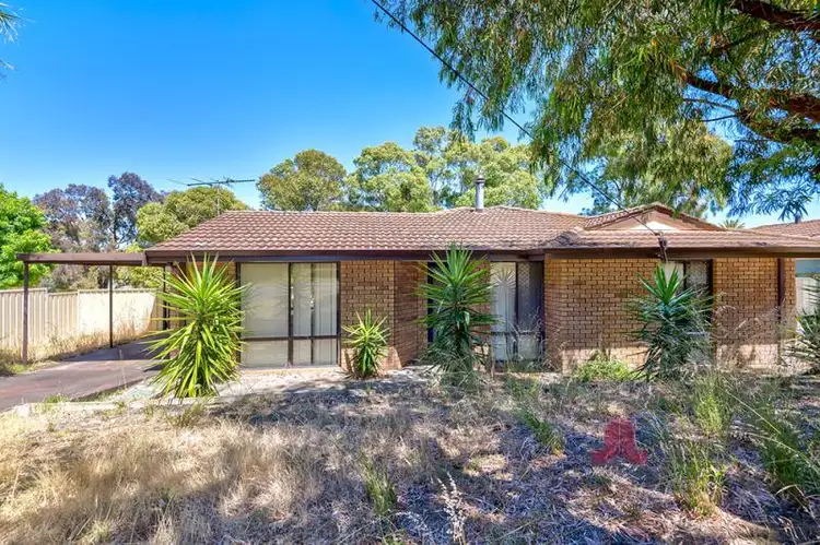 Second view of Homely house listing, 50 Jacaranda Crescent, Withers WA 6230