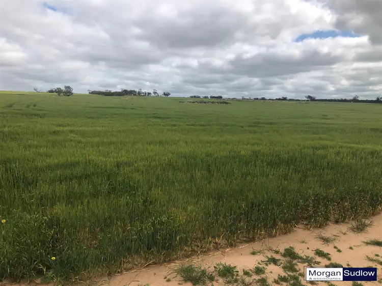 2745 BUNGULLA NORTH ROAD, North Tammin WA 6409
