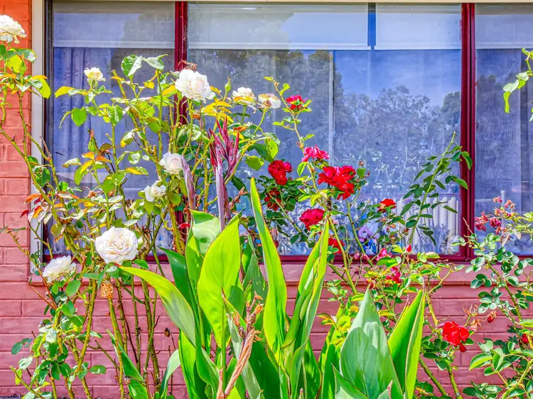 Fifth view of Homely house listing, 14 Werndley Street, Armadale WA 6112