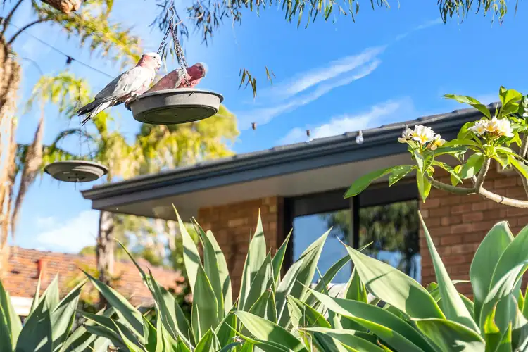 Sixth view of Homely house listing, 17 Cachuca Court, Duncraig WA 6023