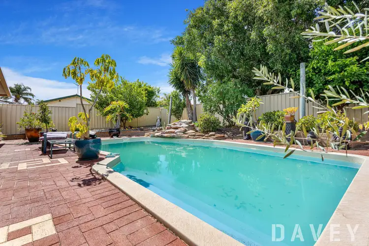 Main view of Homely house listing, 11 Penshurst Street, Marangaroo WA 6064