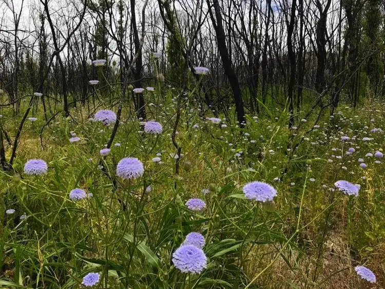 Seventh view of Homely land listing, 3 Wildcat Way, Preston Beach WA 6215