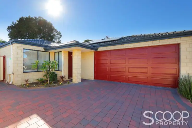 Main view of Homely house listing, 88A Phoenix Road, Hamilton Hill WA 6163