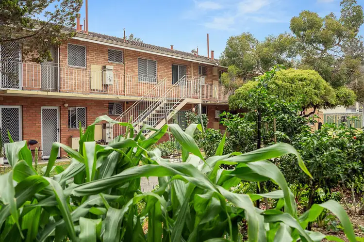 Main view of Homely apartment listing, 35/11 Herdsman Parade, Wembley WA 6014