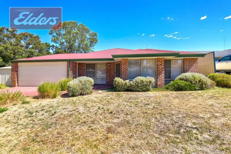 Main view of Homely house listing, 7 Caledonia Rise, Australind WA 6233