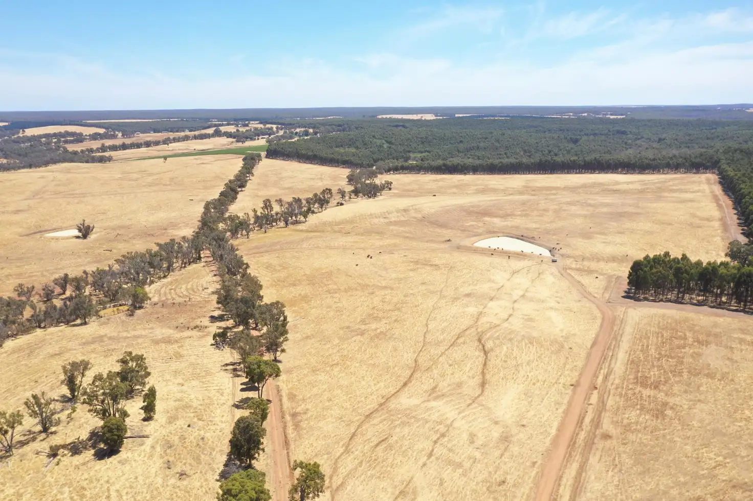 Main view of Homely rural property listing, 1744 Westbourne ROAD, Mayanup WA 6244