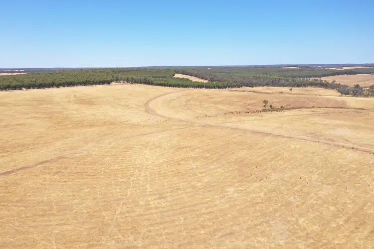 Second view of Homely rural property listing, 1744 Westbourne ROAD, Mayanup WA 6244