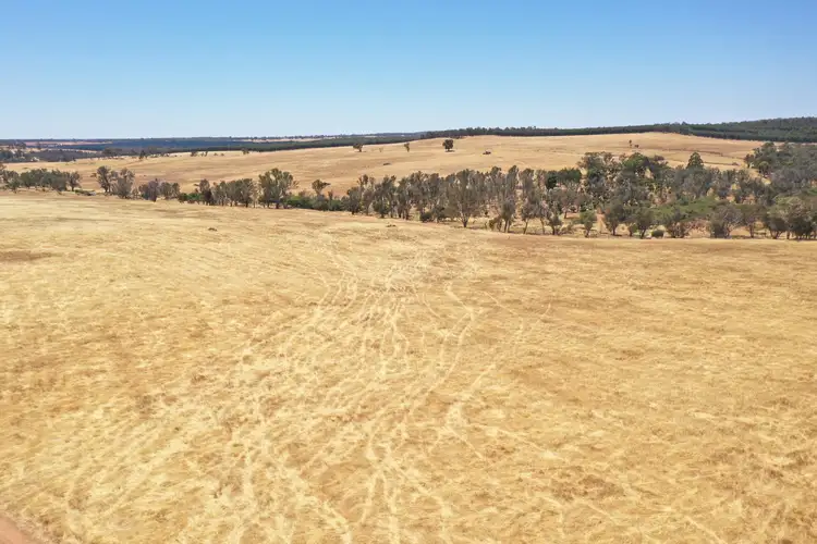 Third view of Homely rural property listing, 1744 Westbourne ROAD, Mayanup WA 6244