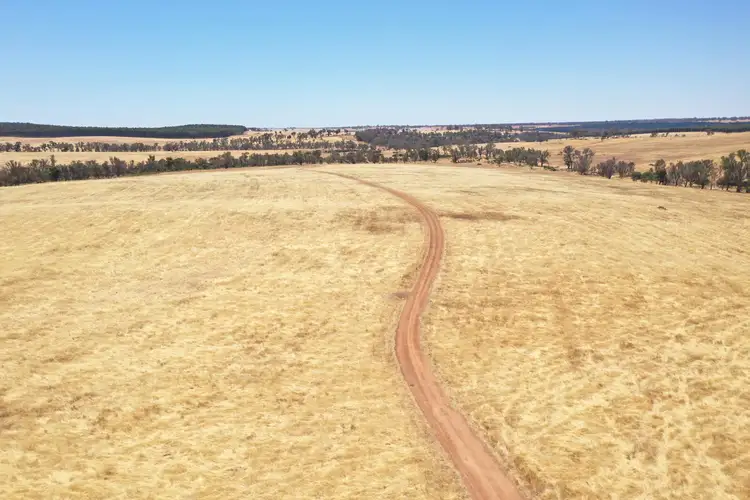 Fourth view of Homely rural property listing, 1744 Westbourne ROAD, Mayanup WA 6244