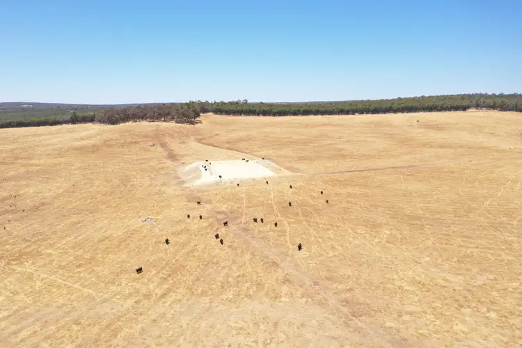 Fifth view of Homely rural property listing, 1744 Westbourne ROAD, Mayanup WA 6244