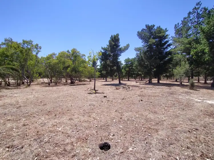 Sixth view of Homely rural property listing, Lot 2321, Bennies Road, Cowalla WA 6503